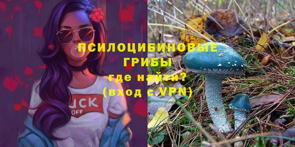 mdma Гусиноозёрск